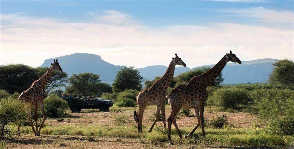 Marataba Safari Co Hotel Marakele National Park Bagian luar foto