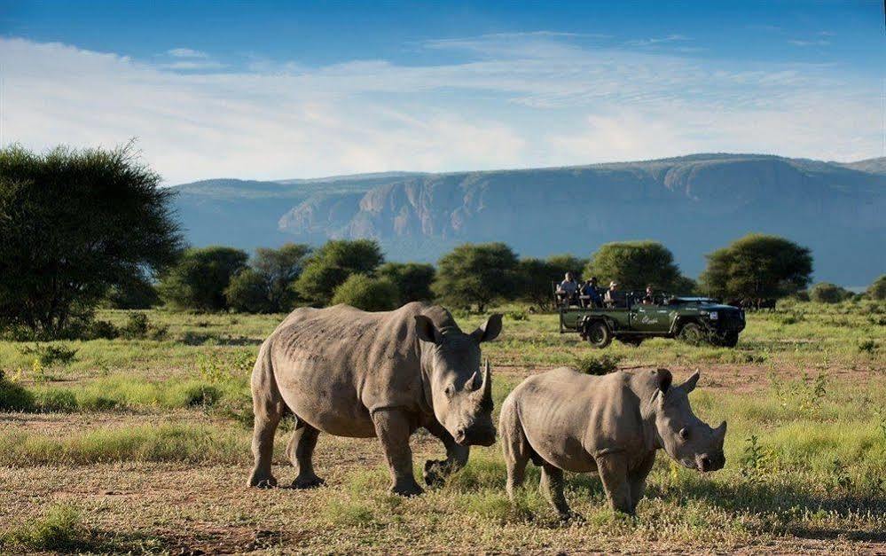 Marataba Safari Co Hotel Marakele National Park Bagian luar foto